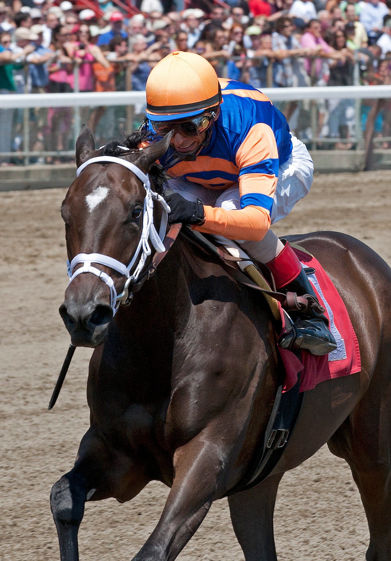 Saratoga meet gets off to hot start